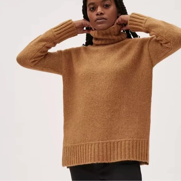 Everlane Heathered Chai Cloud Turtleneck - Picture 2 of 10